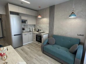 Апартаменты 2х Комнатная Студия Ул Аэропорт 55/1