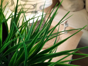 Квартира на улице Морозова