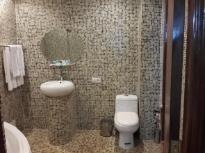 Отель Venezia Palazzo