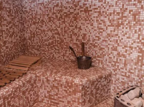 Отель Метелица