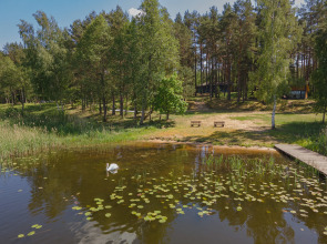 Глэмпинг отель МЕСТО