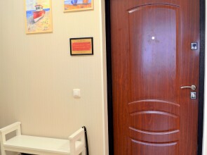 Квартира однокомнатная В гостях у Петербурженки Янино