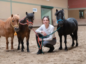 Бутик-отель Padok Premium Hotel & Stables