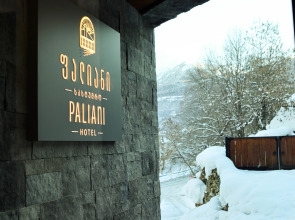 Отель Paliani
