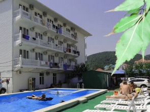 Отель Фламинго