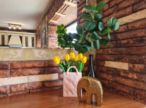 Апартаменты Белые ночи в самом центре Вологды