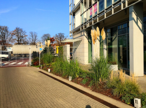 Апартаменты P&O Arkadia