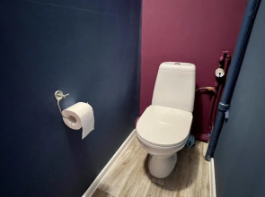 Квартира на Красном проспекте, 70