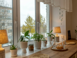 Мини-отель Loparochka