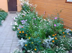 Гостевой дом Спасс