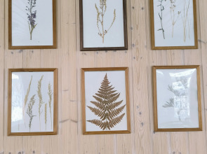 Частный дом Shanti SPA