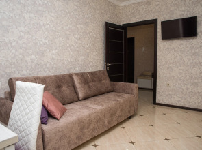 Квартира Роскошная с новым ремонтом в центре рядом с ЖД вокзалом