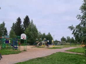 Гостевой дом с сауной и купелью вблизи реки и озера Ладоги Лисий берег