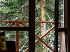 База отдыха Velvet