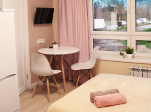 Апартаменты Flamingo Studio