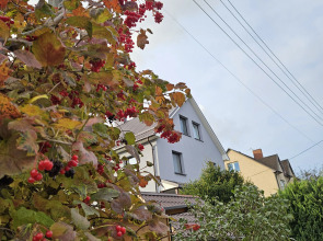 Гостевой дом Миниотелик