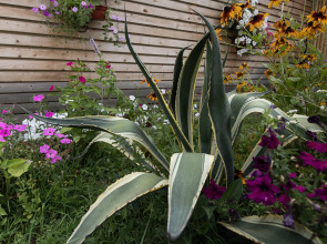 Отель At The Sea