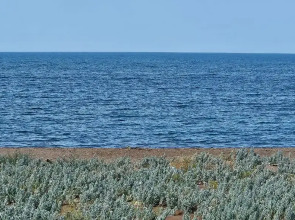 Бунгало Капсульный Отель на 4 человека у моря