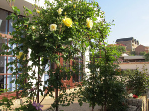 Гостевой дом Камелот