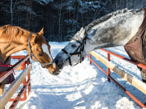 Отель Загородный клуб