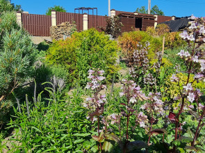 Гостевой Дом Abrau Soul&Spa