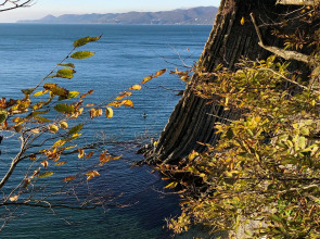 Апартаменты с видом на море 3 минуты до пляжа