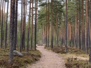 База Отдыха Аквамарин