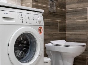 Апартаменты Сканди хаус классический люкс