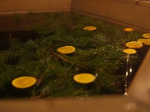 База отдыха Нептун