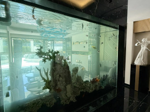 Апартаменты SA Apartments! Comfortable 1bd Flat