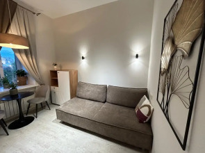 Квартира Видовая студия в центре Петроградки