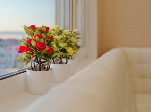 Апартаменты на Коминтерна