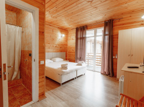 Amshin п.Цандрипш