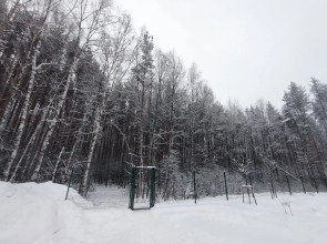 Квартира Лесная сказка