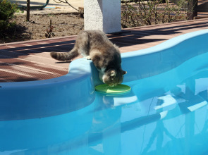 Zhemchuzhina Stepi Guest House