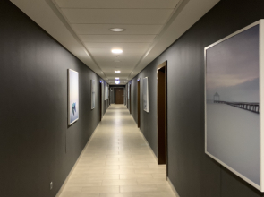 Апартаменты частные в Завидово