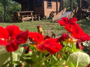 База отдыха парк отдыха Лесное озеро