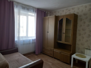 Квартира Однокомнатная в Центре