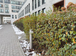 Апартаменты Четырехместная дизайнерская квартира в ЖК "Новин"