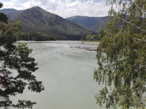 Гостевой дом Альбатрос