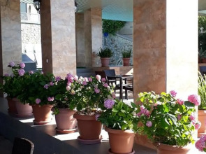 Гостевой дом Чайка