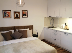 Квартира в исторической части города центр