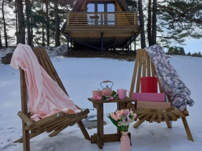 Гостевой дом Под соснами