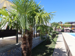 Отель Alexander Resort