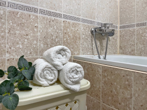 Двухкомнатные Апартаменты Люкс  на 9 человек в курортной зоне Ессентуков