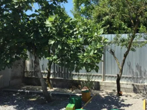 Гостевой дом U Norika i Susanny