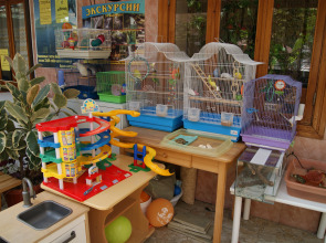 Гостевой дом семейный клуб Арго