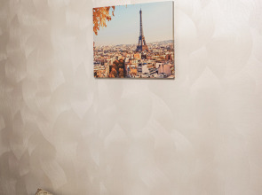 Апартаменты Студия Парижский Сон