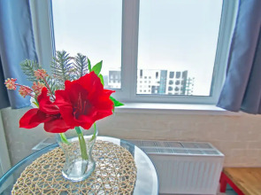 Апартаменты Двухуровневые Полулюкс Панорамные в ЖК Спутник