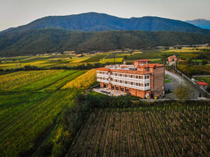 Отель Chateau Artwine